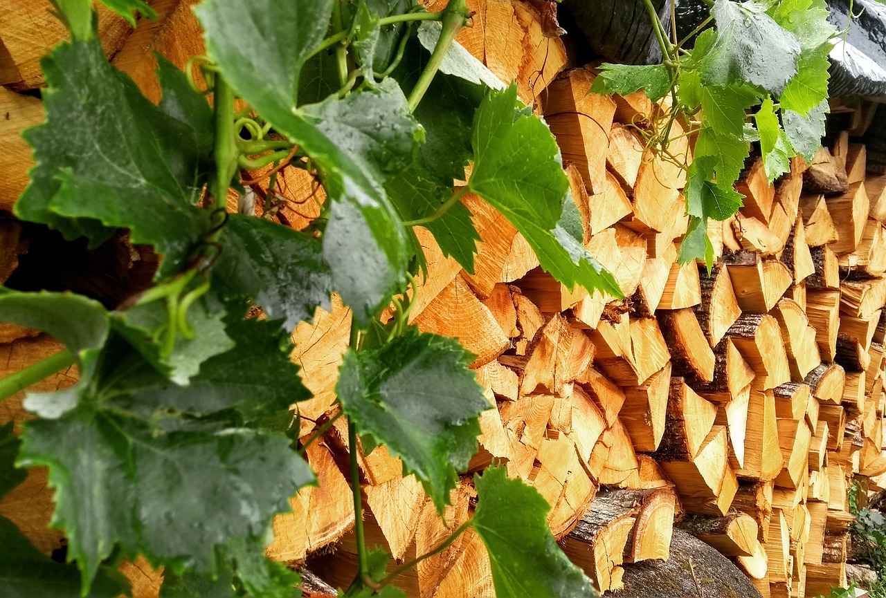 stockage-bois