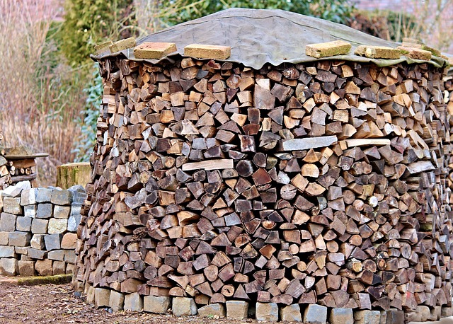 bache-bois